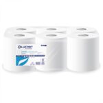Papierhandtuch-Rollen (852275)